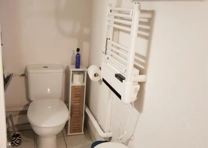 Daire Le Quai De Bosc *